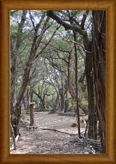 Austin Landscape Designs in Austin Texas