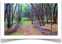 Land Art To Open Your Land